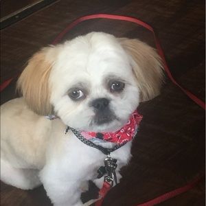 Meet your Posher, Sonia