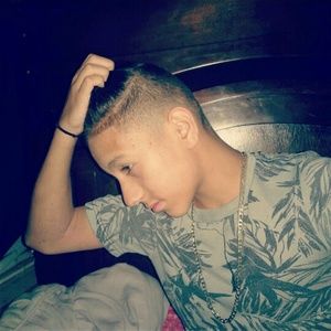 Meet your Posher, Ant