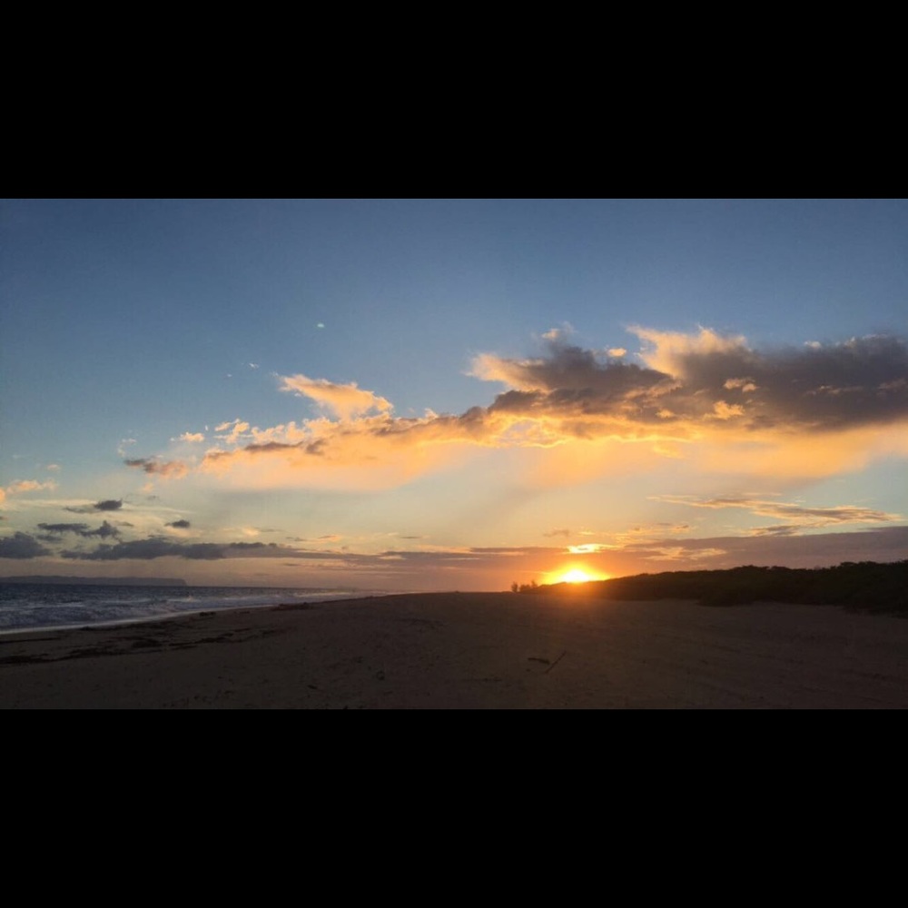 Meet your Posher, Sarai