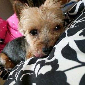 Meet your Posher, Kylie