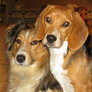 Meet your Posher, Deb