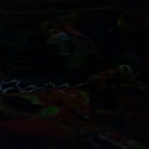 Meet your Posher, Fallon