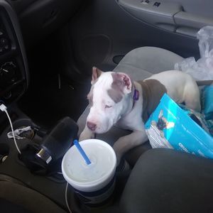 Meet your Posher, Mindy