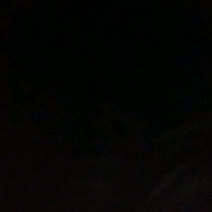 Meet your Posher, Roxanne