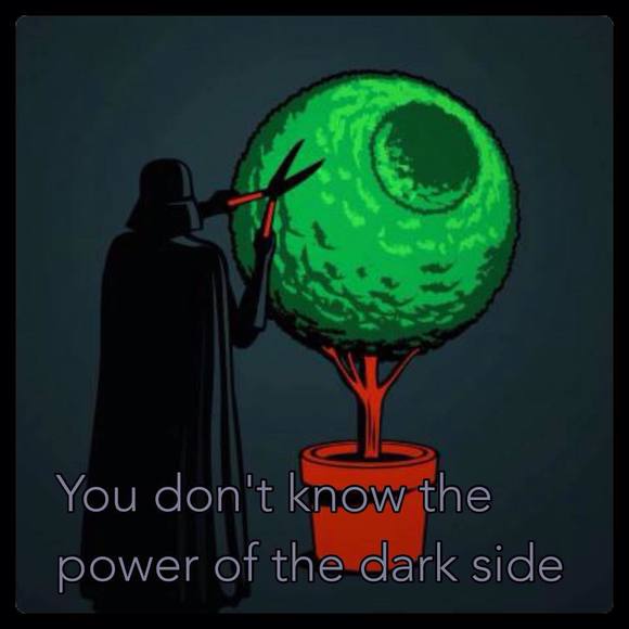 Meet your Posher, Samantha - Picture 1 of 1