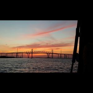 Meet your Posher, Nellie