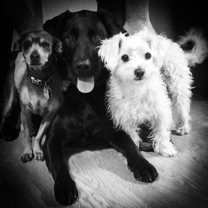 Meet your Posher, Tracy