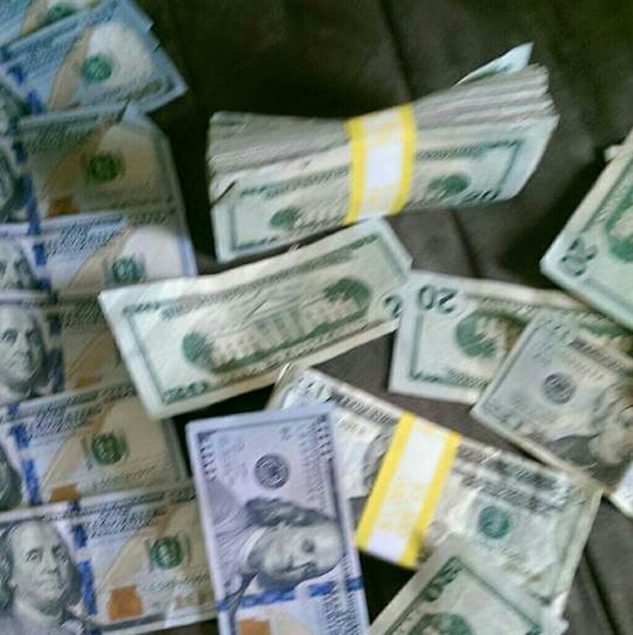 Meet your Posher, Polo - Picture 5 of 8