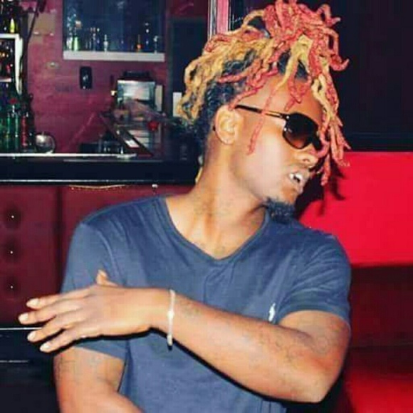 Meet your Posher, Polo - Picture 7 of 8