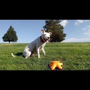 Meet your Posher, Feriha