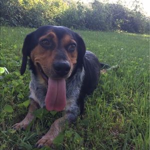 Meet your Posher, Diane