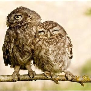 Meet your Posher, Saeyoung