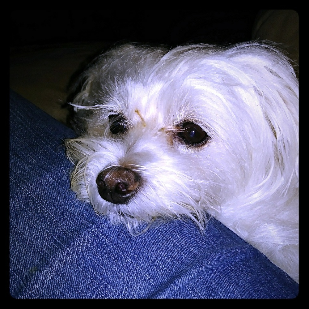 Meet your Posher, Andrea