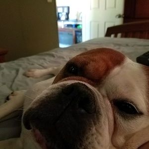 Meet your Posher, Brandon