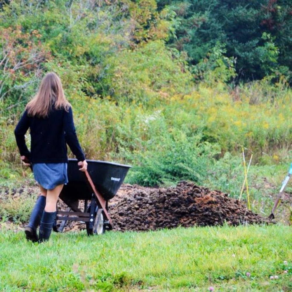 Meet your Posher, Rebecca