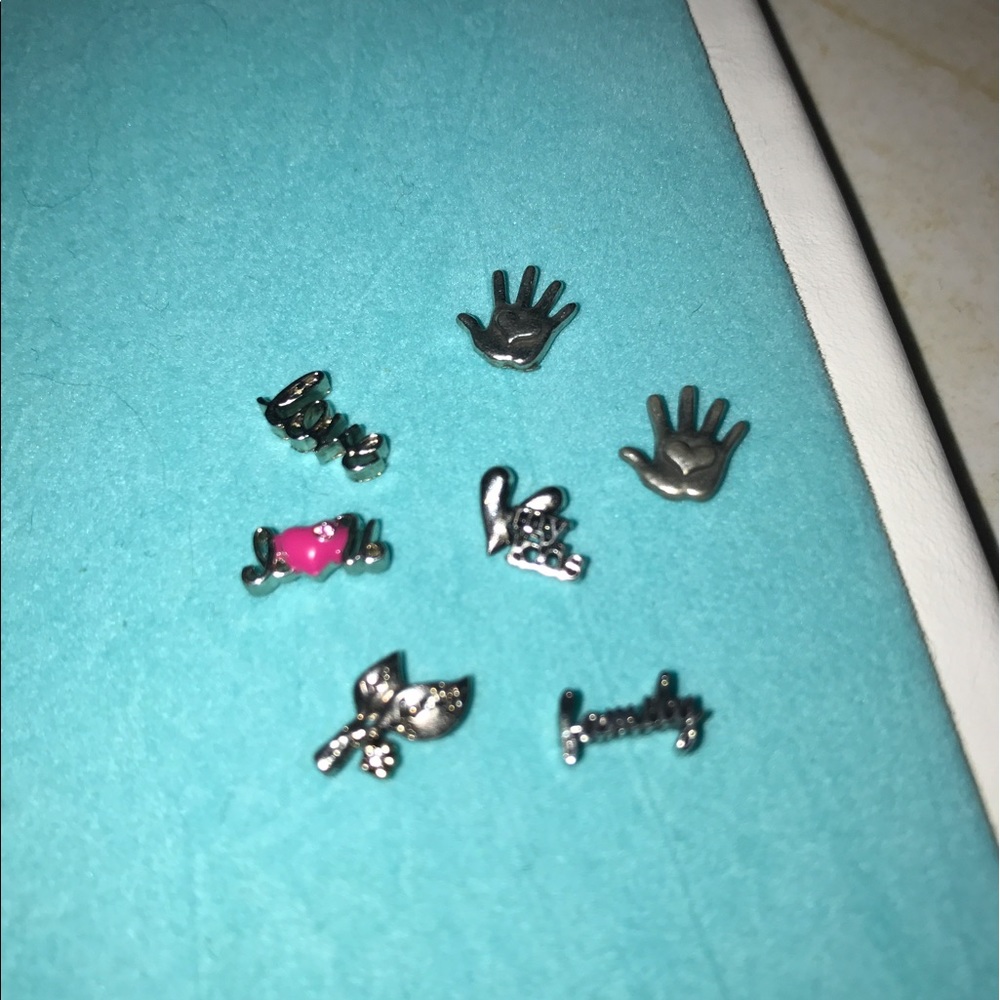 Origami owl lot