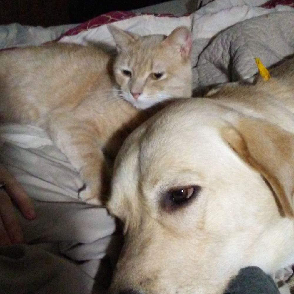 Meet your Posher, Chey