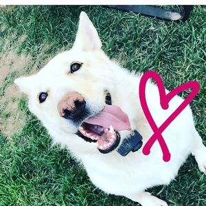 Meet your Posher, Mia