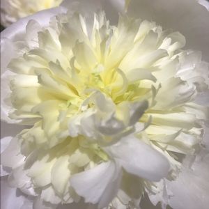 Meet your Posher, Kathie