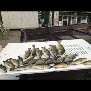 Meet your Posher, Derrick