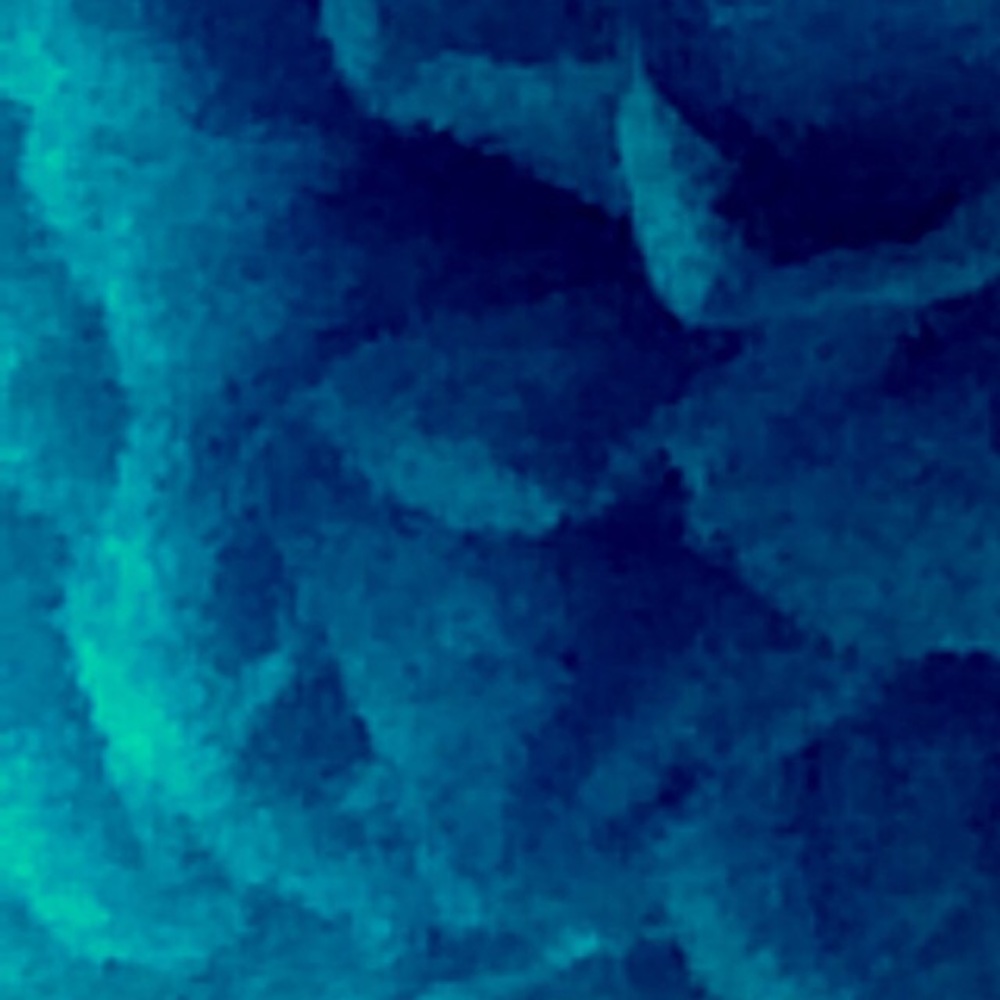 Meet your Posher, Alondra