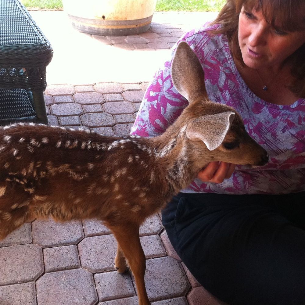 Meet your Posher, Kitty