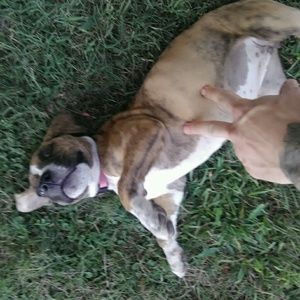 Meet your Posher, Blake