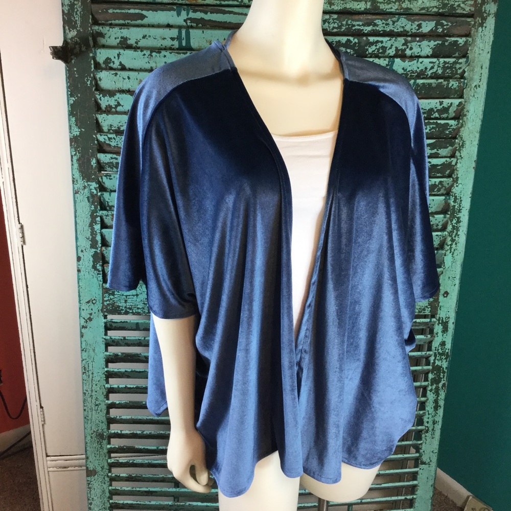 NWT Beautiful Velour Blue Kimono - Picture 1 of 7