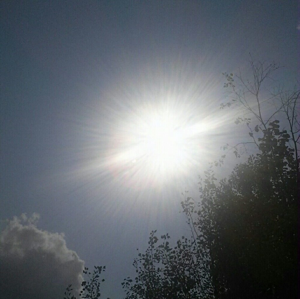 Meet your Posher, Kayleigh