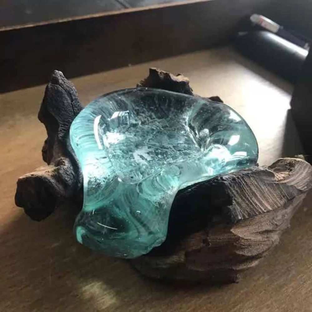 West elm wood and glass terrariums