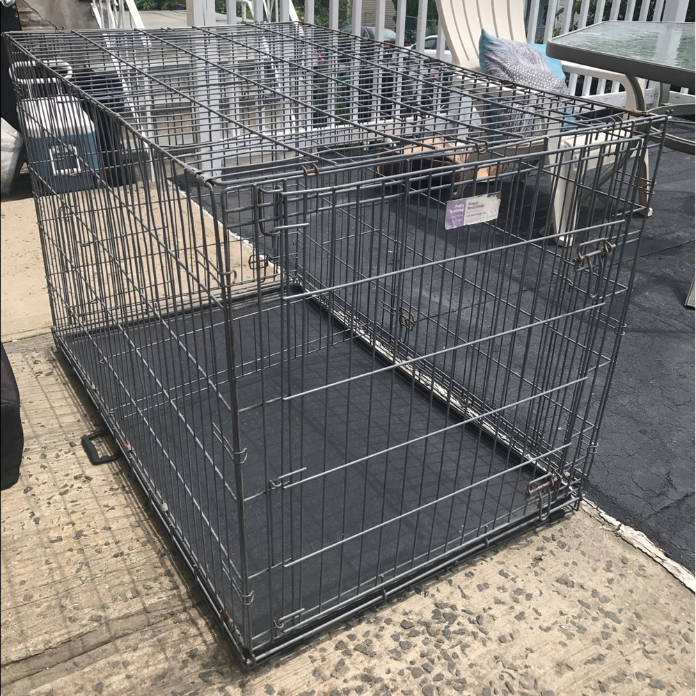 Potty Training Puppy Apartment