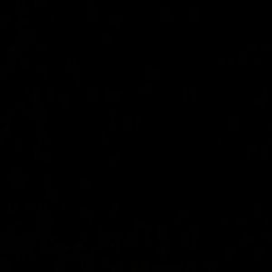 Meet your Posher, Neveah