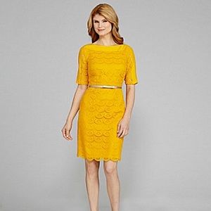 Antonio Melani Yellow Lace dress