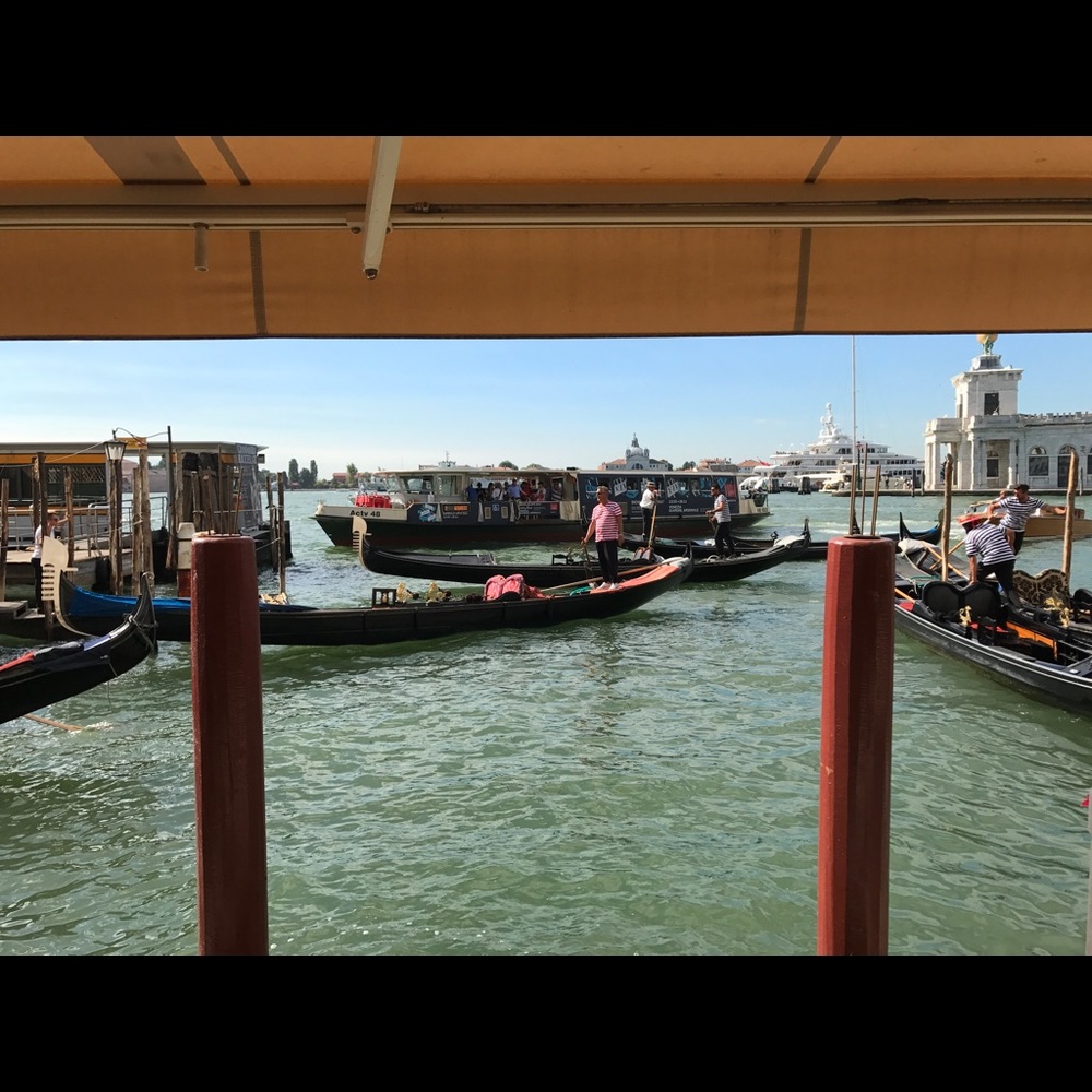 Meet your Posher, Yousef