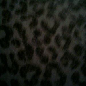 Meet your Posher, Annemarie