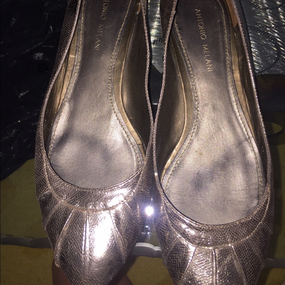 Silver flats
