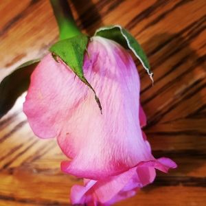 Meet your Posher, Sheri