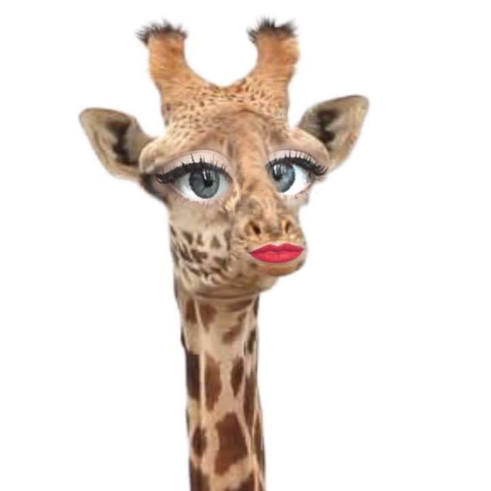 Meet your Posher, Kaylee