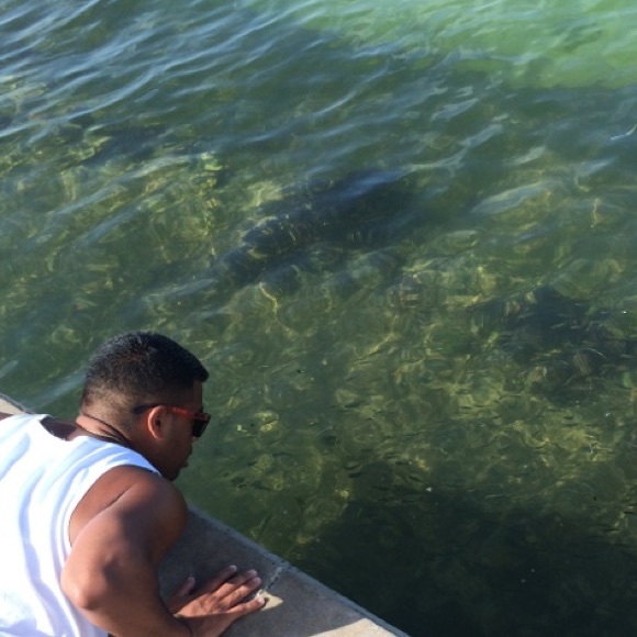 Meet your Posher, Edgard - Picture 2 of 3