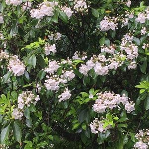 Meet your Posher, Clara