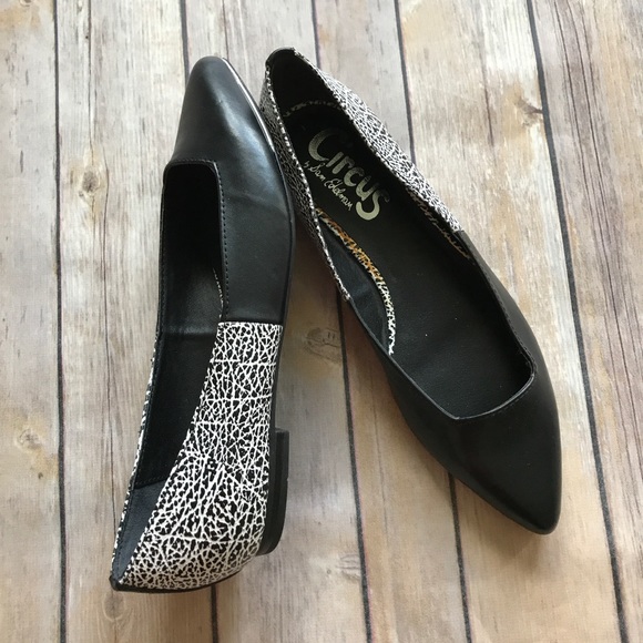 Circus by Sam Edelman Shoes - Circus by Sam Edelman Pointed Flats size 6.5