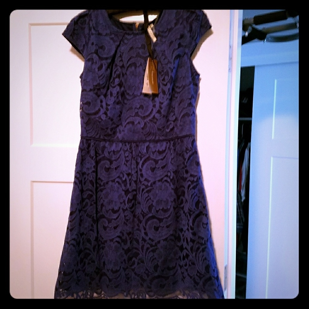 Francescas Closet Lace Miami Dress