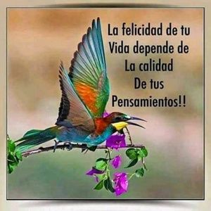 Meet your Posher, Mayra