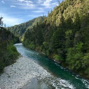 Meet your Posher, Brandi