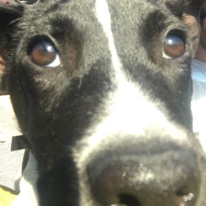 Meet your Posher, Andrew