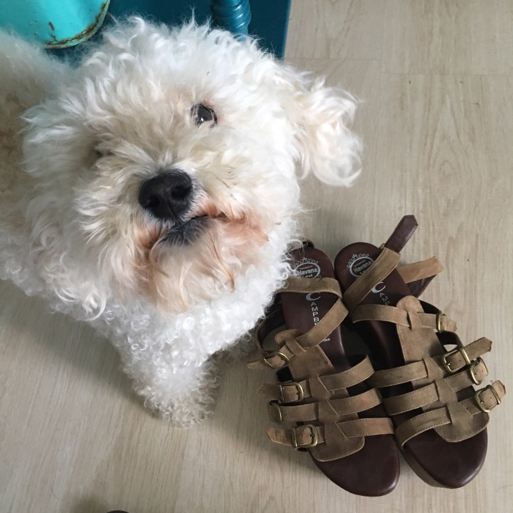 Jeffrey Campbell Gladiator Platforms