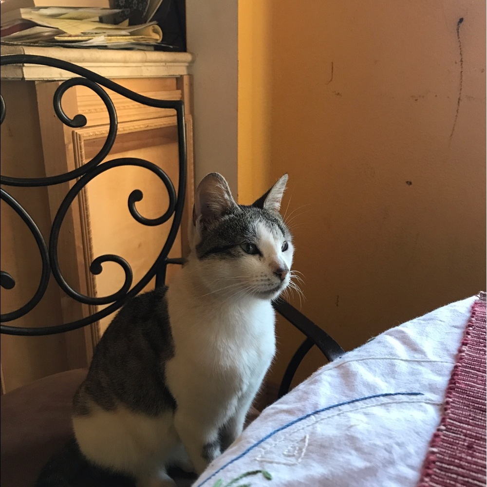 Meet your Posher, Patricia