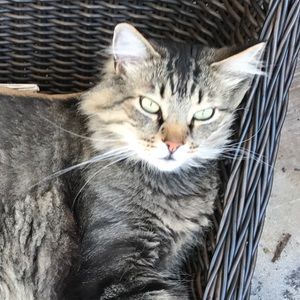 Meet your Posher, Pam