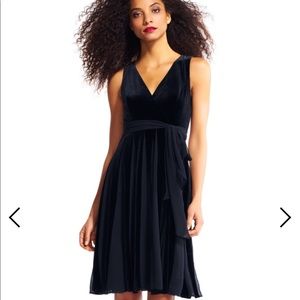 Adrianna Papell velvet fit and flare dress.