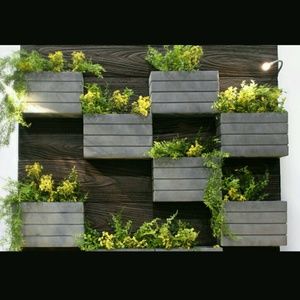 Meet your Posher, Alicia